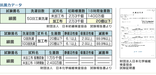 �R�ۗ̓f�[�^