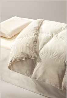 �|�P�b�g�V�[�c